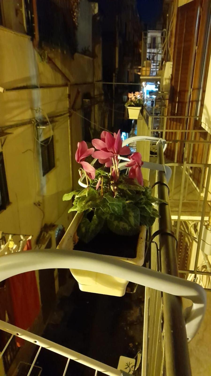 Apartament Casa Kyla Palermo Zewnętrze zdjęcie